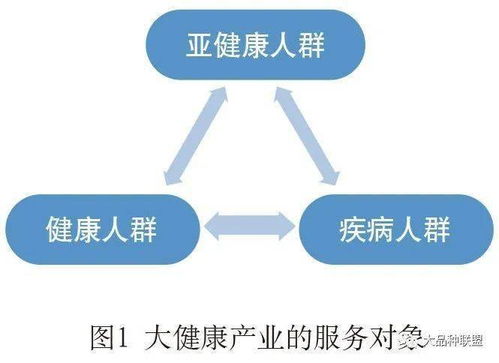 我国大健康产业的发展现状及推进建议